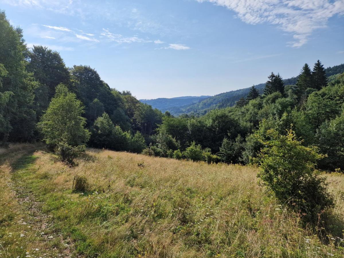Nad Strumieniem Chalet Pieszyce